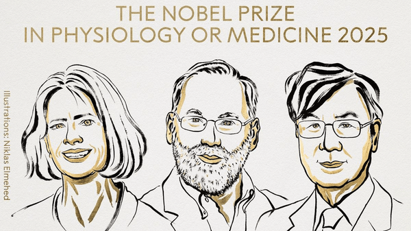 نوبل پزشکی ۲۰۲۵ به سه دانشمند ژاپنی و آمریکایی برای کشف سازوکار تنظیم سیستم ایمنی بدن رسید