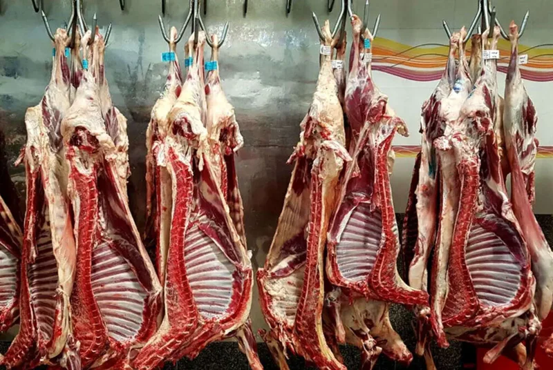 برنامه دولت برای تنظیم بازار گوشت قرمز