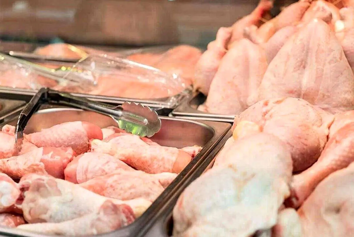 فیلم| مدیرعامل اتحادیه مرغداران: صادرات مرغ فعلاً متوقف شد