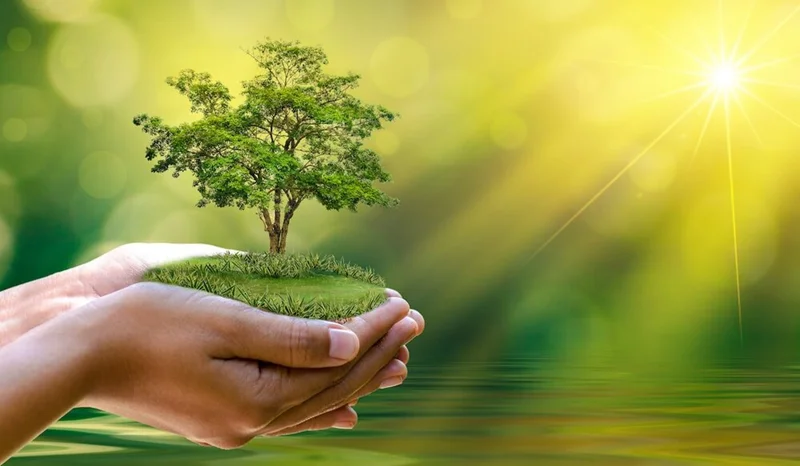 چالشهای فزایندۀ محیط زیست