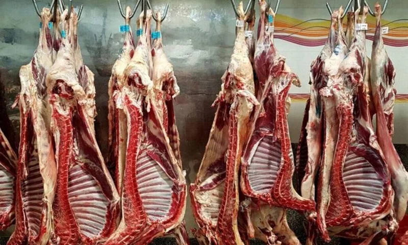 تولید گوشت قرمز ۱۸ درصد کاهش داشته است