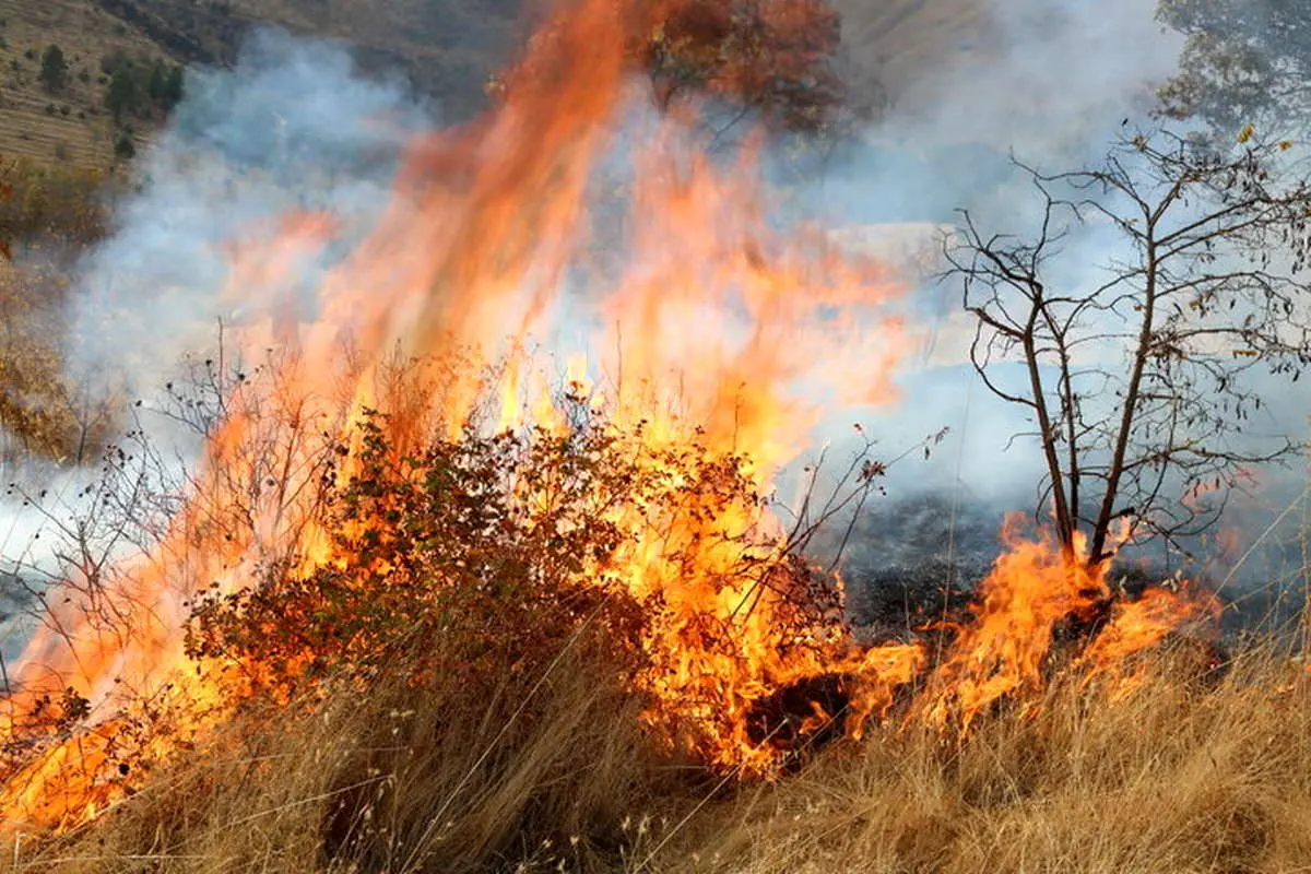 کوه آبیدر سنندج در آتش؛ تلاش گسترده برای مهار حریق ادامه دارد