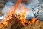 کوه آبیدر سنندج در آتش؛ تلاش گسترده برای مهار حریق ادامه دارد