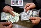 مهارِ تورمِ برآمده از شوکِ ارزی