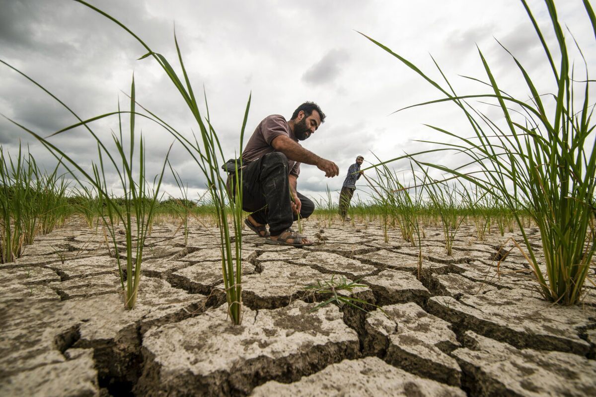 توسعۀ غیرعلمی کشاورزی؛ ریشۀ مشکل آب پایتخت