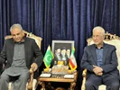 دیدار وزیران کشور ایران و پاکستان در تهران
