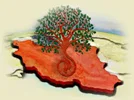 واکاوی روانشناسی و روانکاوی در حکمت ایرانی