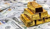 طلای زرد و سیاه بر مدار صعود