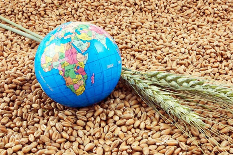 امنیت غذایی؛ اولویت نظام اقتصادی