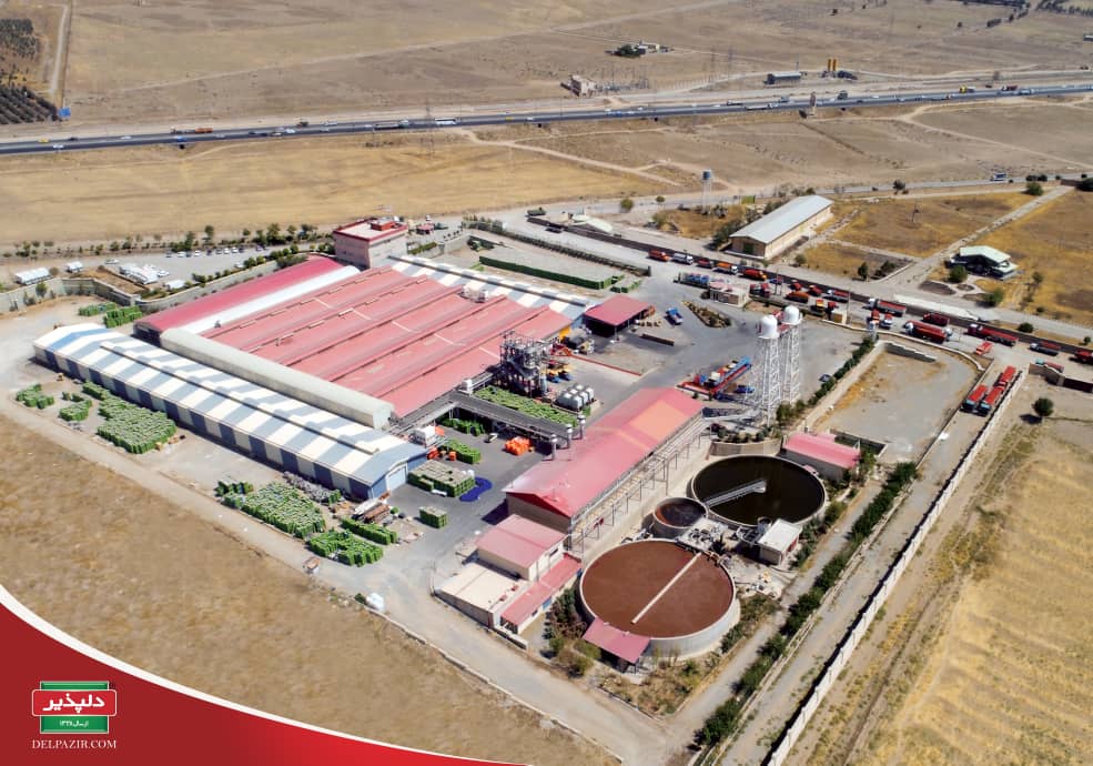 گفت‌وگوی آسیا با مدیر گروه مالی شرکت «دلپذیر» در حاشیۀ نمایشگاه IRAN EXPO 2025