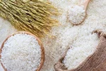تأثیر نوسان قیمت برنج بر رفاه عمومی