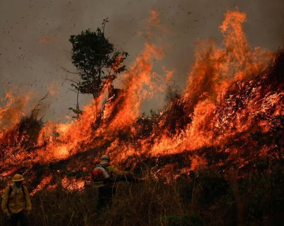 دستگیری ۶ عامل آتش‌سوزی عمدی جنگل‌های فارس