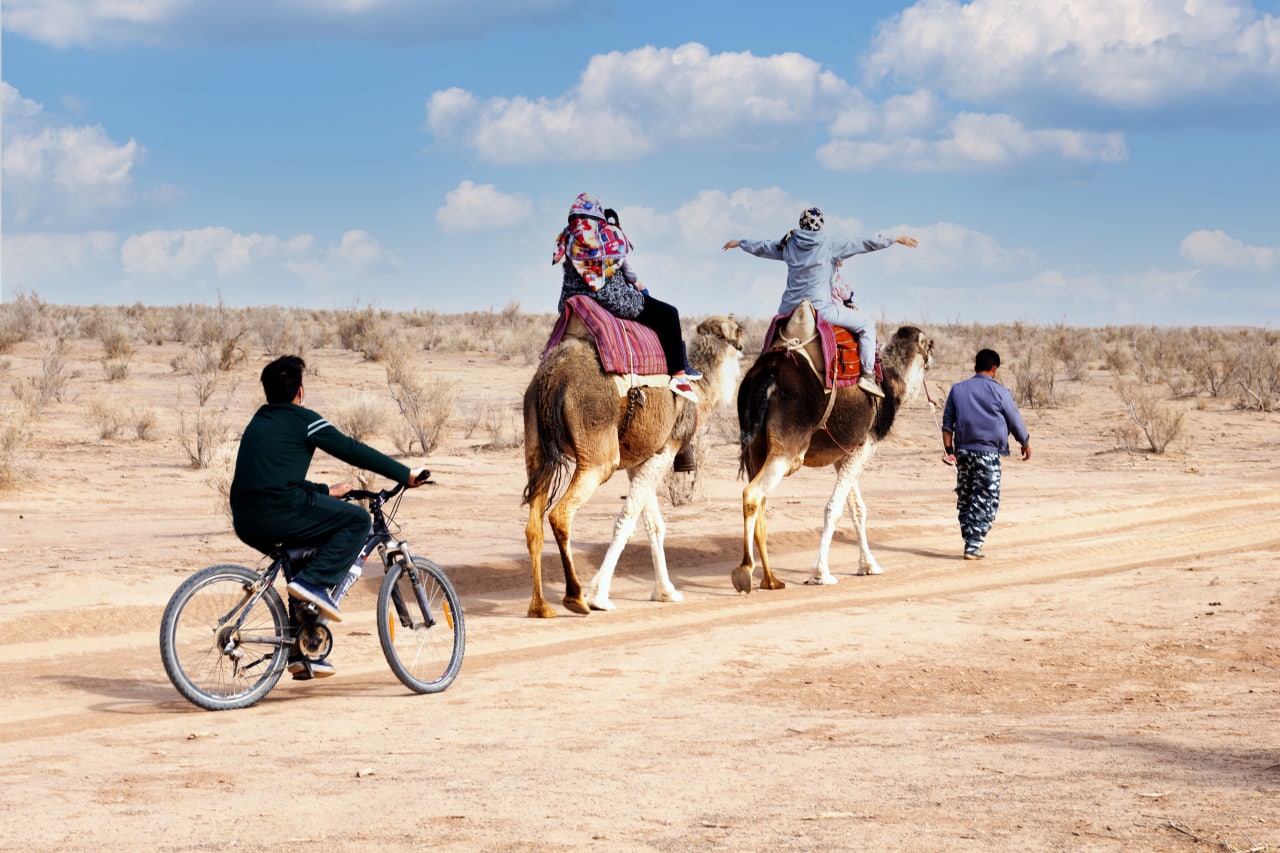 اکوکمپ متین‌آباد؛ گلخانه‌ای در دل کویر