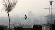 وزیر بهداشت: سالانه ۷۰۰ هزار کودک در جهان بر اثر آلودگی هوا جان خود را از دست می‌دهند