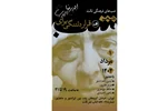 قرار دلتنگی برای احمدرضا احمدی