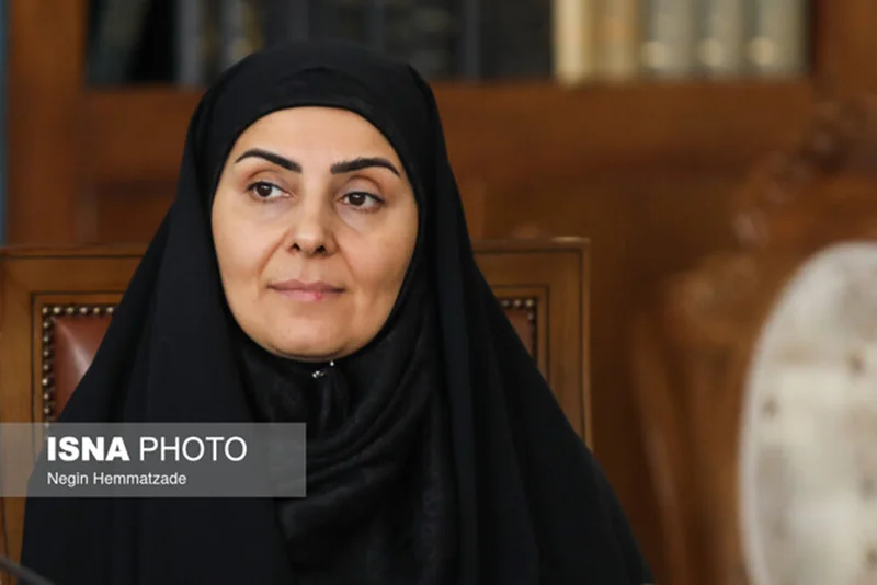 توقف عوارض فول باک برای رانندگان ایرانی در ترکیه
