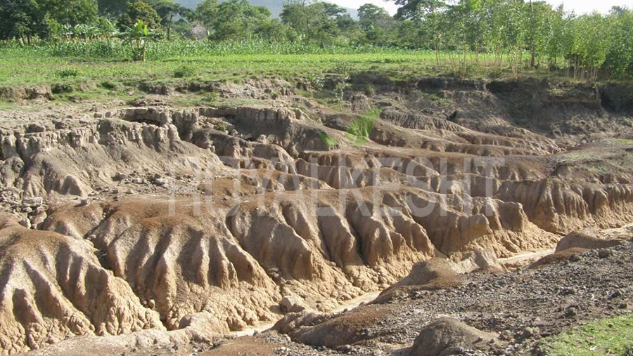 فرسایش خاک در کشور بین ۱۶ تا ۲۵ تن در هکتار است