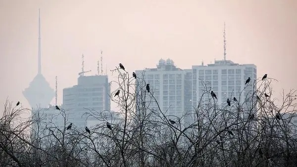 کارگروه اضطرار آلودگی هوای تهران در آستانه برگزاری جلسه