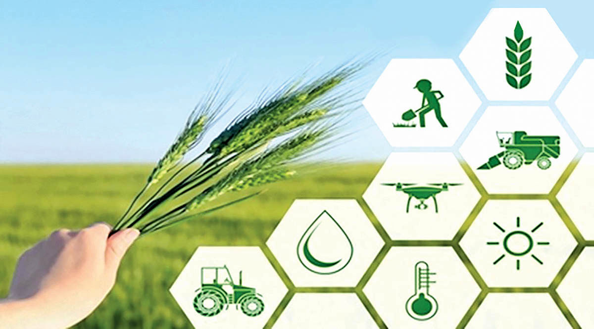 امنیت غذایی و کشاورزی بهره‌ور