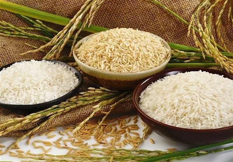کاهش قیمت برنج در راه است