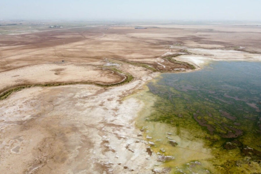 چگونه تالاب صالحیه به منشأ گرد و غبار تهران تبدیل شد؟