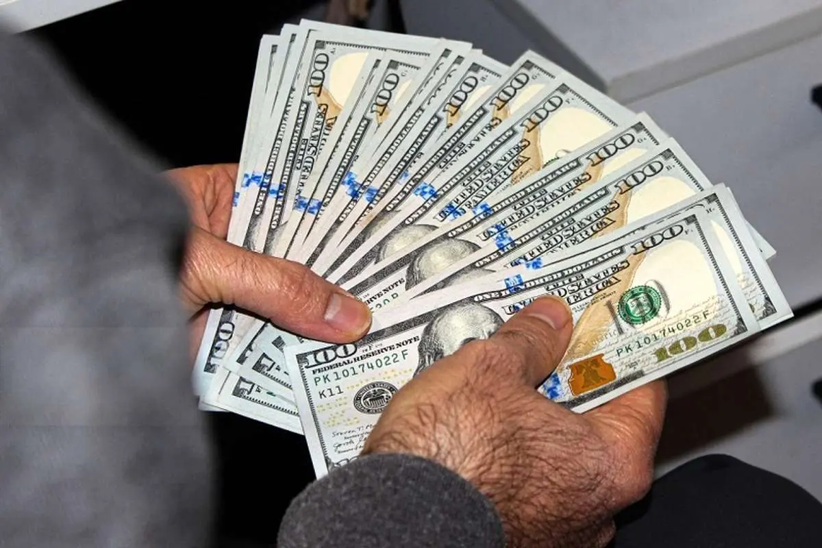 ارز تک‌نرخی از نگاه بخش خصوصی