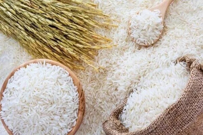 آغاز ثبت سفارش برنج با سهمیه ۱۵۰ هزار تن
