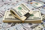 قیمت دلار امروز؛ 11 شهریور 1404