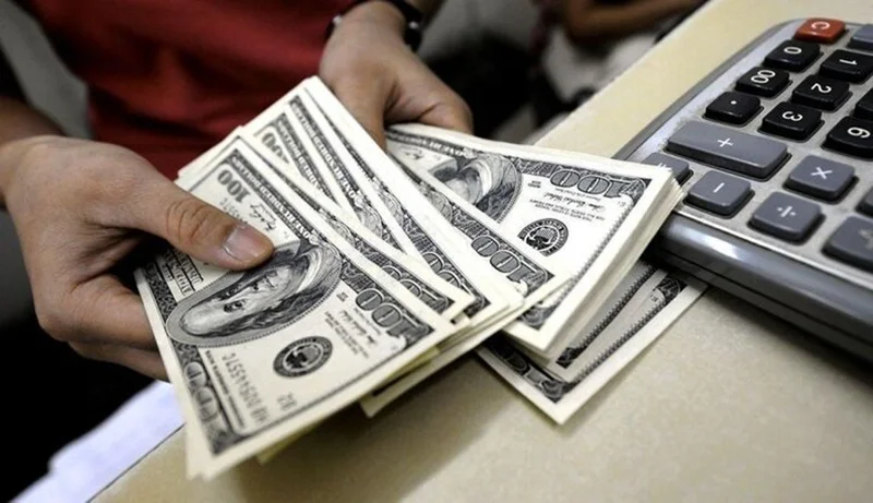 فرزین: تثبیت نرخ ارز سیاست اصلی بانک مرکزی در سال 1404