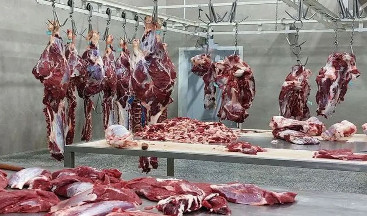 واردات گوشت قرمز طی روزهای آتی افزایش می یابد