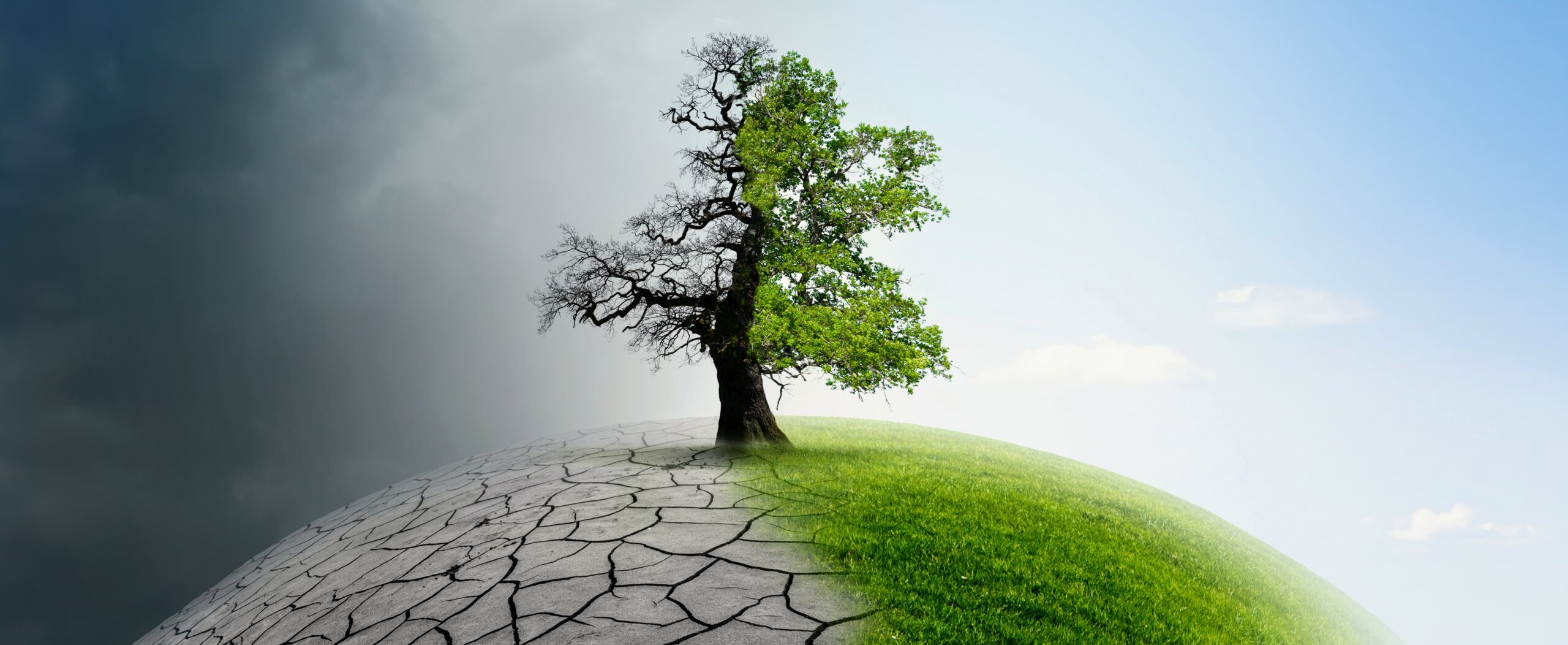 نجات جهان، نجات انسان است