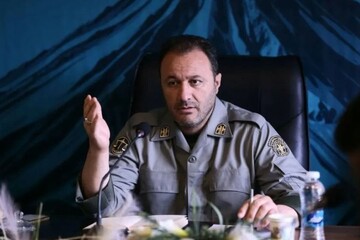 انهدام باند قاچاق گوشت گراز در دماوند؛ کشف لاشه ۳۸ رأس گراز