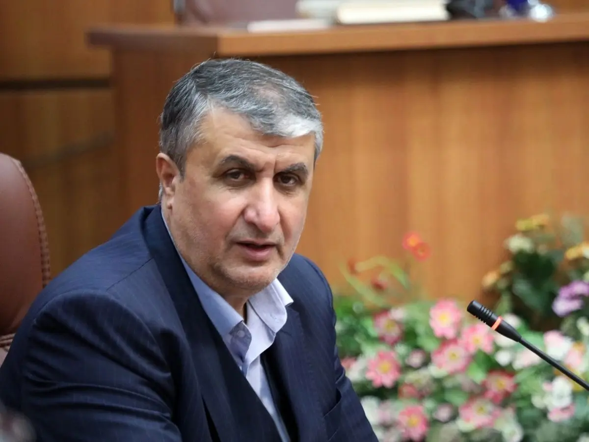 آژانسی که محکومیتی اعلام نمی‌کند و هیچ دستورالعملی ندارد، حق ندارد ادعا کند که قصد بازرسی دارد