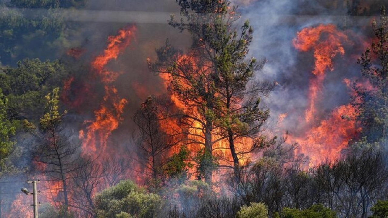 آتش‌سوزی جنگل‌های الیت مهار شد