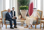 مومنی پس از دیدار با امیر قطر: پیشنهادهای منطقه‌ای را به پزشکیان منتقل می‌کنم