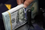 قیمت دلار و یورو در مرکز مبادله ایران امروز دوشنبه ۳ شهریور ۱۴۰۴