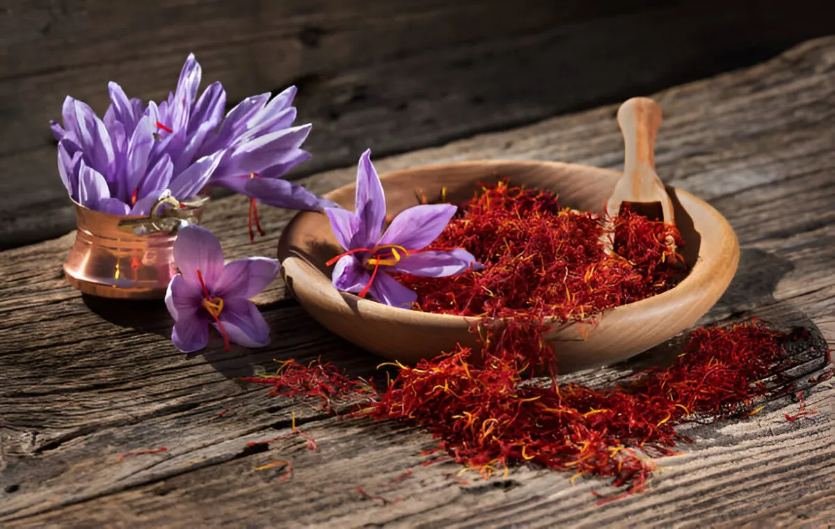زعفران آنلاین چگونه خرید کنیم؟ تأکید اتحادیه بر مجوز، استاندارد و تأییدیه سلامت