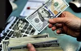قیمت دلار 16 مهر 1404؛ نرخ ارز آزاد از مرز ۱۱۶ هزار تومان عبور کرد