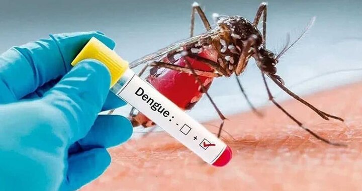 مینو محرز: سفر به شمال نرخ ابتلا به تب دانگی را افزایش داد