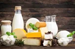 چرایی افزایش قیمت لبنیات
