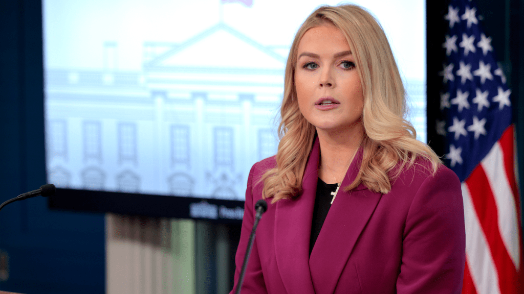 کارولین لیویت، سخنگوی کاخ سفید دربارۀ جنگ اوکراین گفت: برای رسیدن به طرح صلح، در تماس دائم با طرفین هستیم