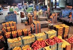 نقش زیان‌بار واسطه‌ها در بازار میوه