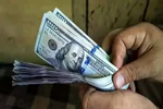 افزایش قیمت دلار و یورو در بازار آزاد؛ امروز 11 مهر 1404