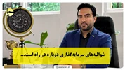 شوالیه‌های سرمایه‌گذاری دوباره در راه است...