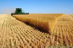 نایب‌رئیس اتحادیه ماشین‌آلات کشاورزی، صنعتی، ساختمانی و باغبانی تهران: بخش عمده تولیدات کشاورزی به فعالیت ما وابسته است