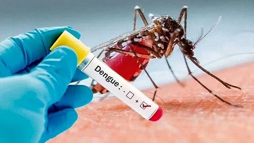 هشدار وزیر بهداشت درباره گسترش پشه آئدس