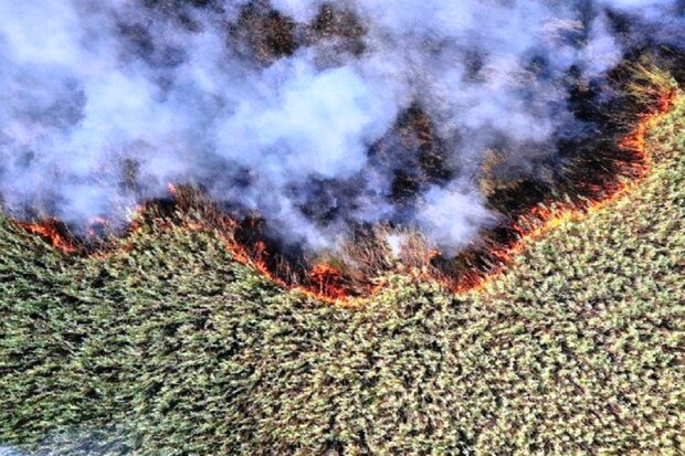 اهواز در شرایط ناسالم؛ علت انتشار دود ادامه آتش‌سوزی تالاب هورالعظیم
