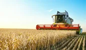 پیش‌نیازهای استمرار تولید در بخش کشاورزی
