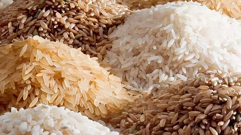 اثر مستقیم واردات بر قیمت برنج