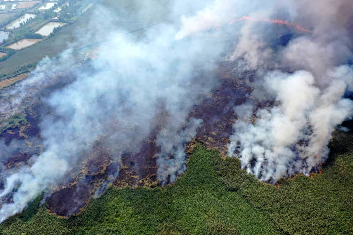 دود آتش‌سوزی هورالعظیم عراق؛ بحرانی که زندگی مردم خوزستان را مختل کرده است